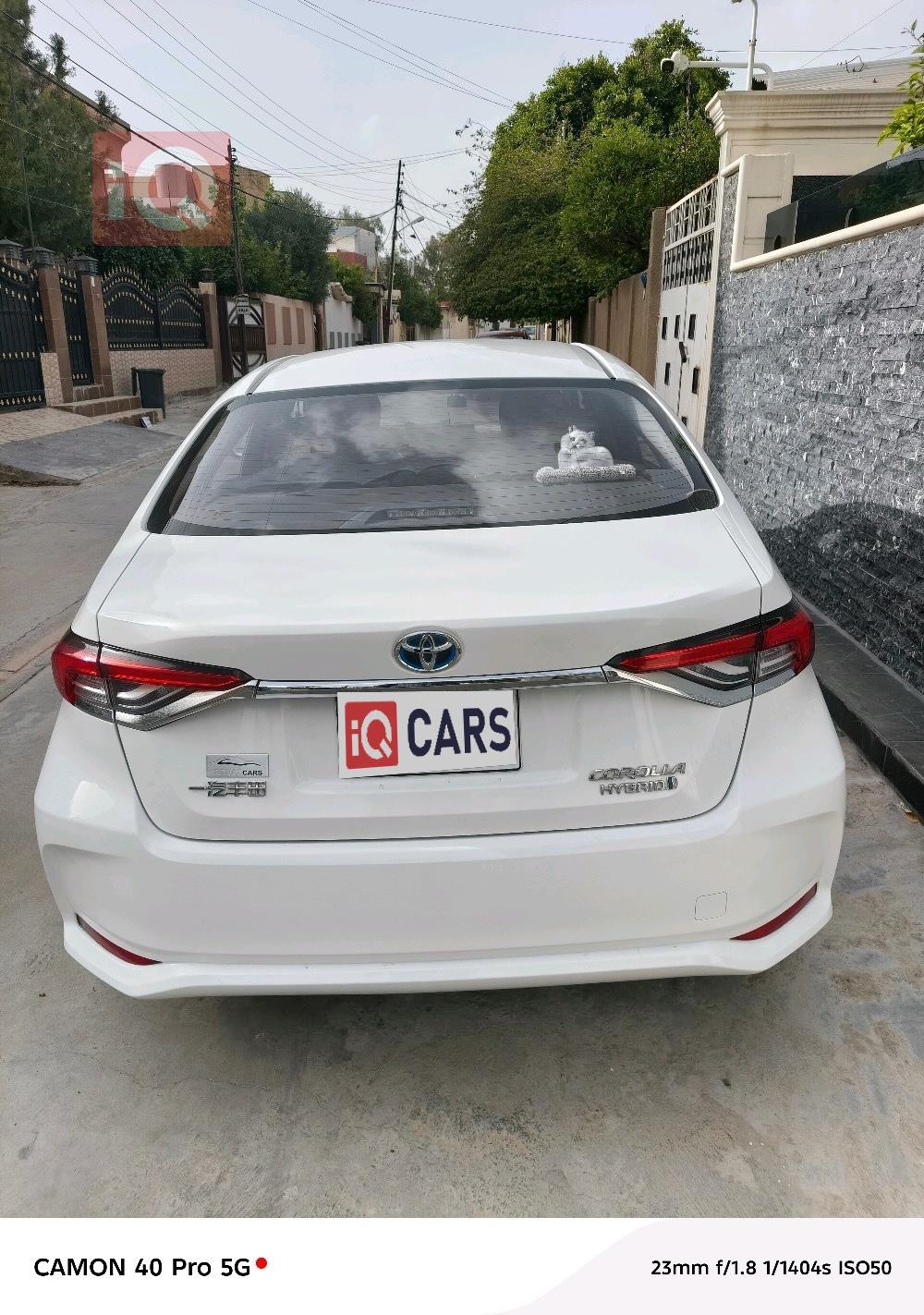 تويوتا كورولا